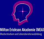 MMag. Dr. Ernst Vitek, MSc Wien Logo
