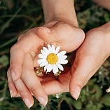 RADIÄSTHESIE – SONNENKLAR - Rutengehen Seminar 