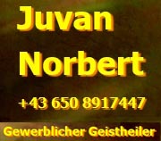 Juvan Norbert Wien Logo