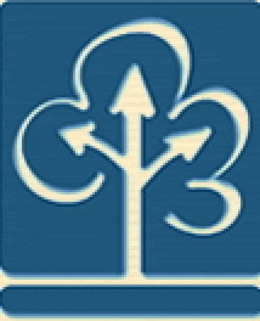Dr. Imre Marton Remenyi Wien Logo