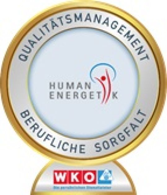 Ilse Jedlicka Wien Logo