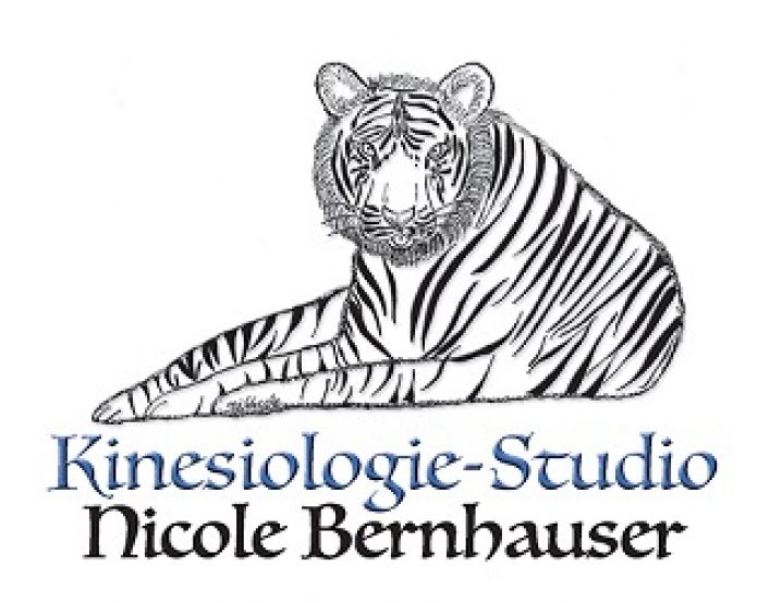 Nicole Bernhauser Judenburg Logo