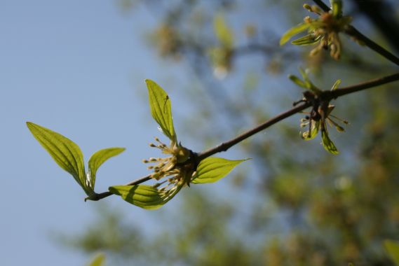 Michaela Pöllabauer 4