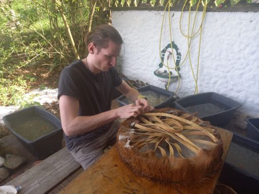 Nicholas Wachouschek 6