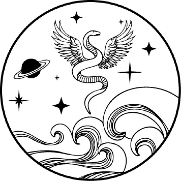 Nicholas Wachouschek Wiener Neustadt Logo