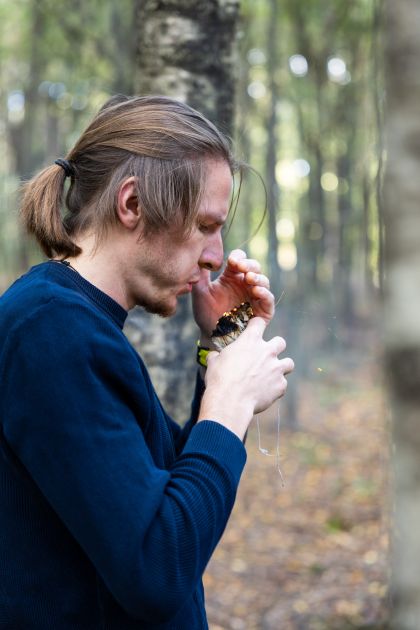 Nicholas Wachouschek Wiener Neustadt