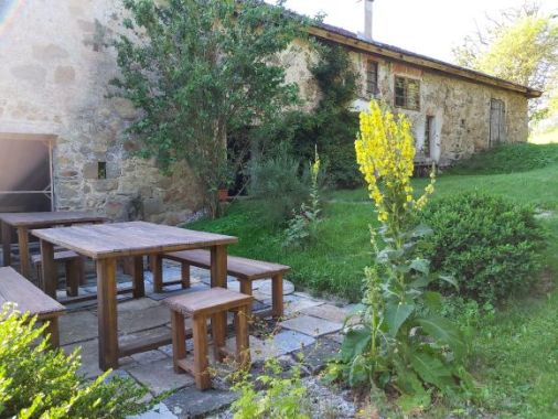 Barbara Buttinger-Förster 1