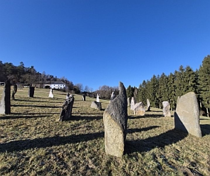 Barbara Buttinger-Förster Hagenberg