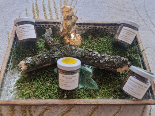 Nicole Hauleithner 6