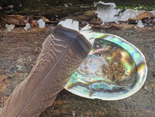 Nicole Hauleithner 7