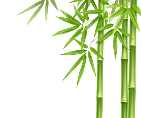 Gesundheitspraxis - Silbergasse   3