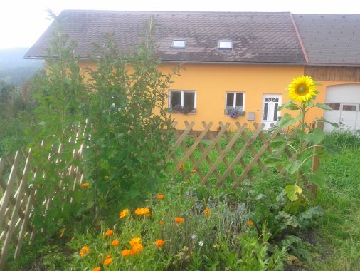 Sonnenhof-Almkräuter e.U. Vera Müller-Schmid 4