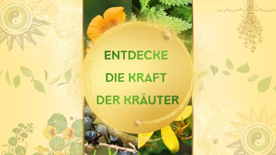 Akademie für Europ. Naturheilmethoden u Schamanismus Wilhelm Gailberger 1
