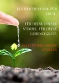 Institut für Achtsamkeit und Selbstregulation ~ Sabine Griesebner
