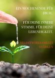 Institut für Achtsamkeit und Selbstregulation Sabine Griesebner