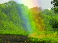 ECKANKAR Österreich 