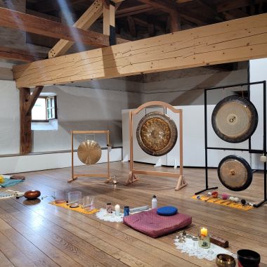 Yoga - Vibrations Erica Zehentner 1
