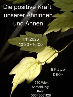 Haus Kalmusweg 10 Karin Waicsek, MA 2