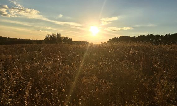 Yoga Schule Ayurvedayoga e.U. Martina Shania Frey 6