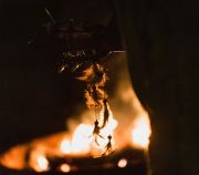 Yoga Schule Ayurvedayoga e.U. Martina Shania Frey