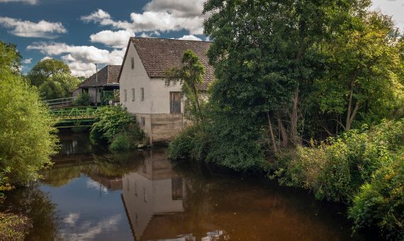 Yoga Schule Ayurvedayoga Martina Shania Frey 2