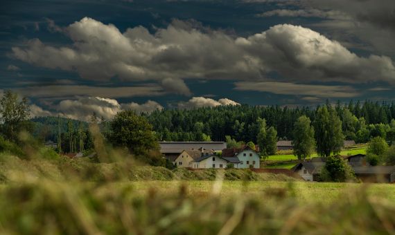 Yoga Schule Ayurvedayoga Martina Shania Frey 4