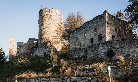 Yoga Schule Ayurvedayoga e.U. Martina Shania Frey 1