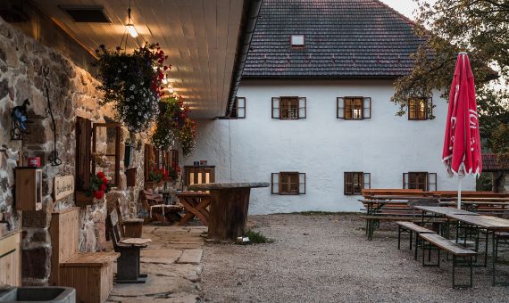 Yoga Schule Ayurvedayoga e.U. Martina Shania Frey 2