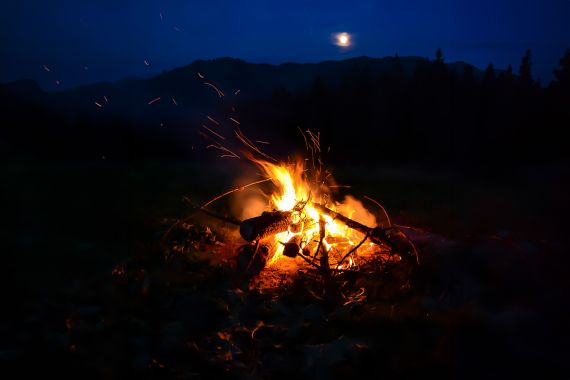 Yoga Schule Ayurvedayoga e.U. Martina Shania Frey 3