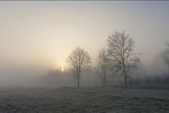 Yoga Schule Ayurvedayoga e.U. Martina Shania Frey 4