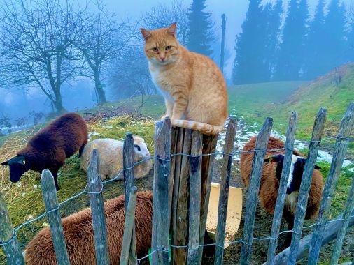 Augen-Vitaltraining Madelaine Worliczek 1