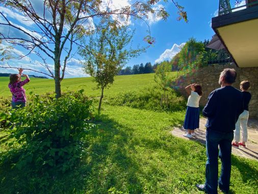 Augen-Vitaltraining Madelaine Worliczek 4