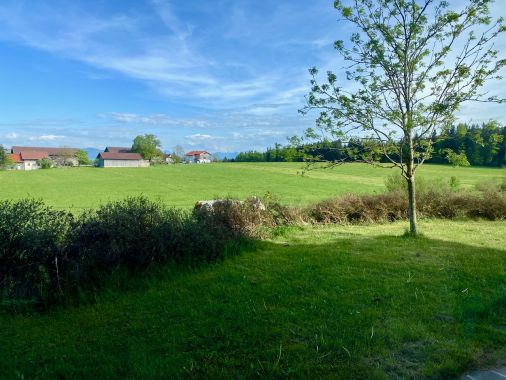 Augen-Vitaltraining Madelaine Worliczek 5