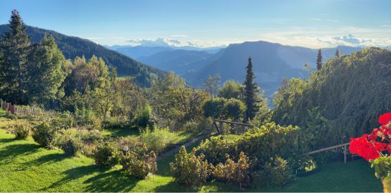 Augen-Vitaltraining Madelaine Worliczek 5