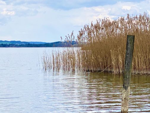 Augen-Vitaltraining Madelaine Worliczek 6