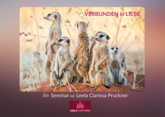 Leelacoaching Leela Clarissa Pruckner 3