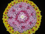 INTERNATIONALE PRANA-SCHULE AUSTRIA Madelaine Worliczek