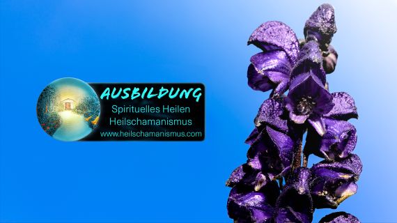 Licht aus der Jurte Shamanic Centre Vienna Regina Hruska 1