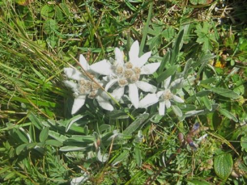 Bergvision Astrid Grohmann 2