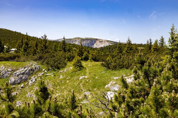 Bergvision Astrid Grohmann 3