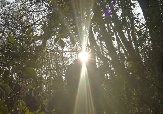 Bergvision Astrid Grohmann 2