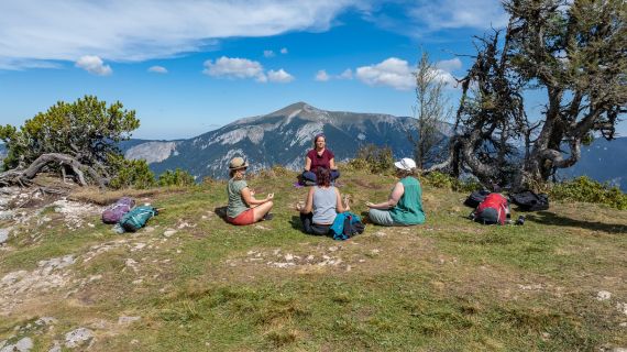 Bergvision Astrid Grohmann 1