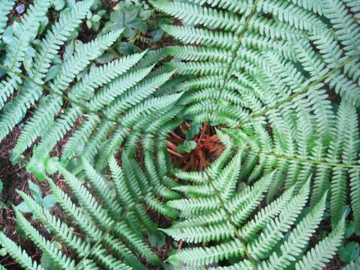 Bergvision Astrid Grohmann 2