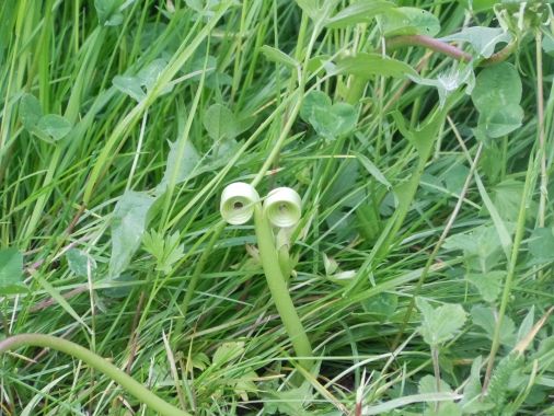 Bergvision Astrid Grohmann 3