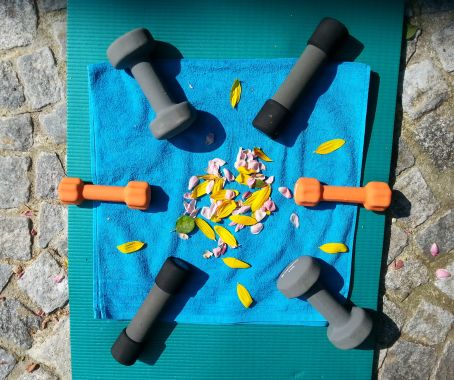 Plötzlich Fit Cornelia Millwisch 1