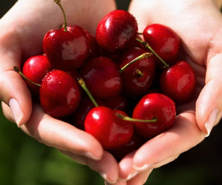 Was bewirkt richtige Ernährung Methode