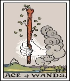Tarot: Bedeutung der Stäbe