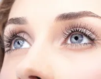 Ein objektiver Blick auf die neue Ästhetik-Welle