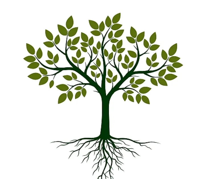 Somatic Experiencing Körperorientierte Traumatherapie  Methode