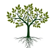 Was ist Somatic Experiencing? Methode